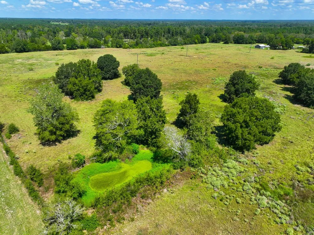 Cr 3620 Lovelady, TX 75851