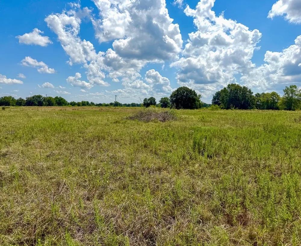 Cr 3620 Lovelady, TX 75851