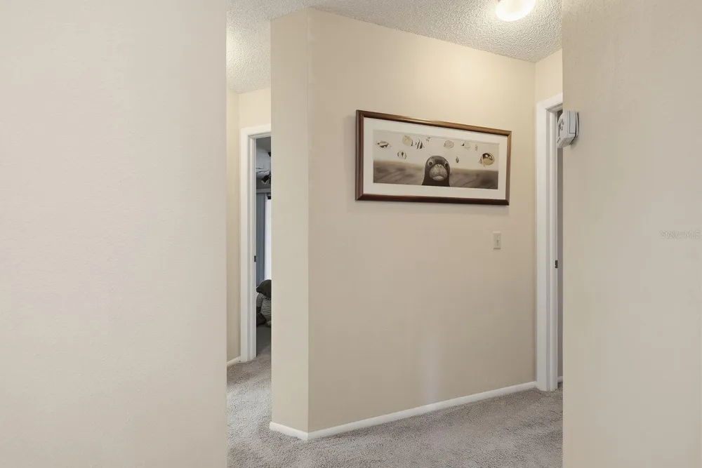 6810 PLUMLEAF COURT Spring Hill, FL 34606