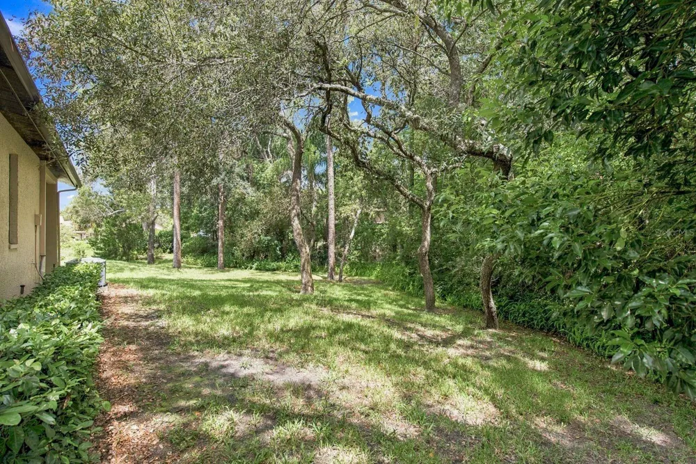 6810 PLUMLEAF COURT Spring Hill, FL 34606