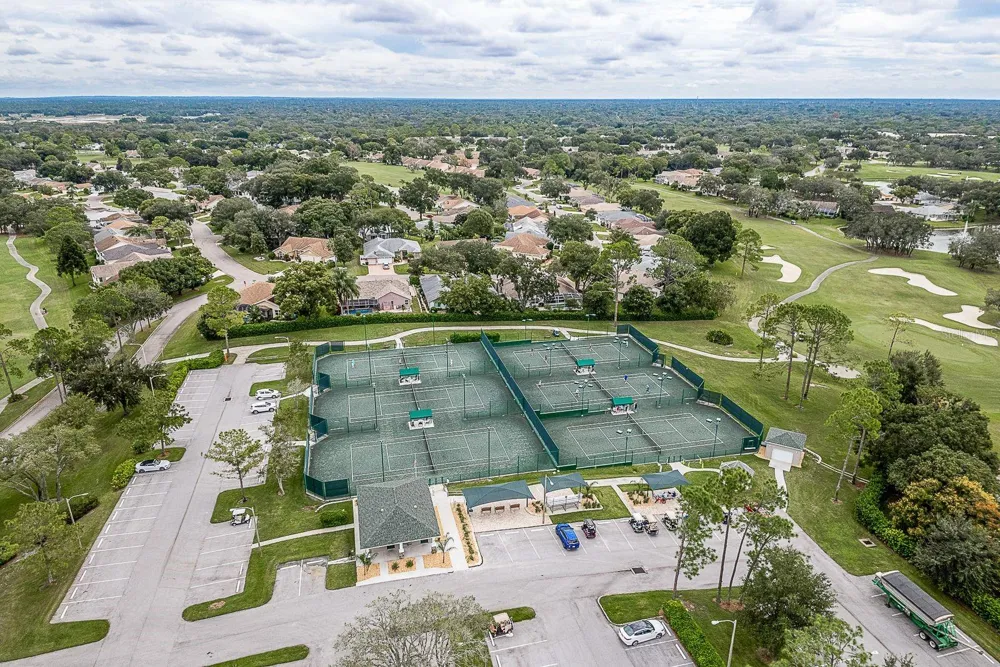 6810 PLUMLEAF COURT Spring Hill, FL 34606