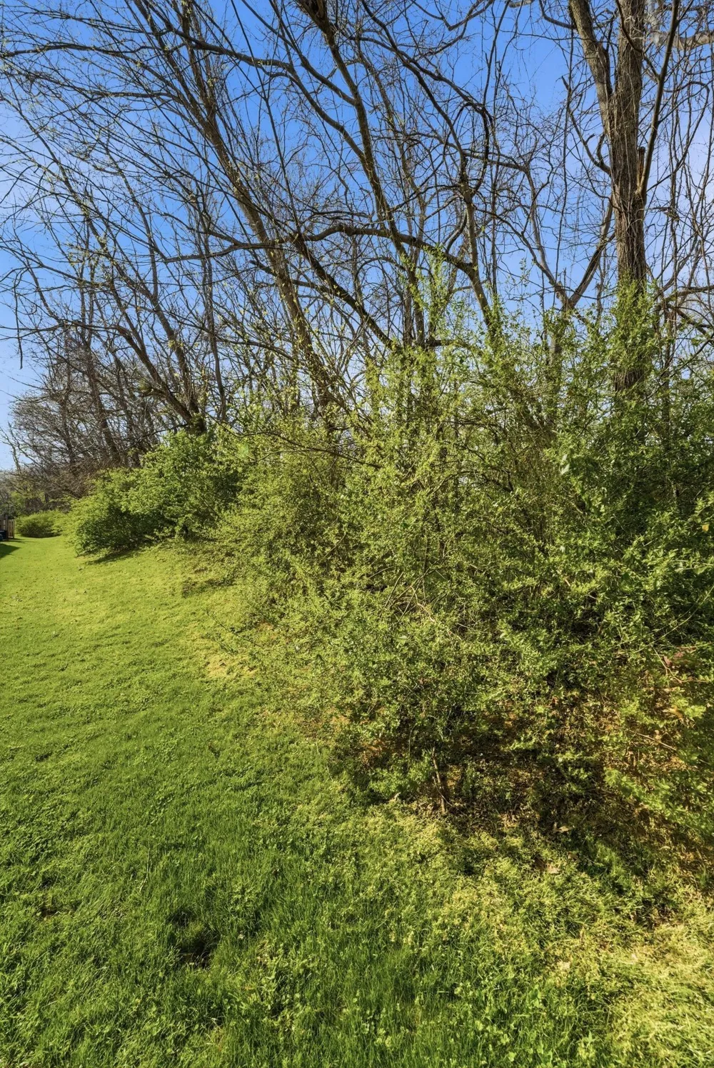 403 Newport Meadows Circle Thompsons Station, TN 37179
