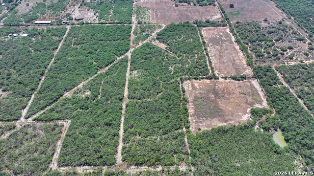 2822 TOMBLIN RD Bigfoot, TX 78005