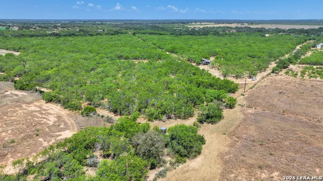 2822 TOMBLIN RD Bigfoot, TX 78005
