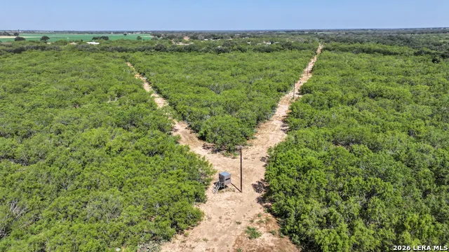 2822 TOMBLIN RD Bigfoot, TX 78005
