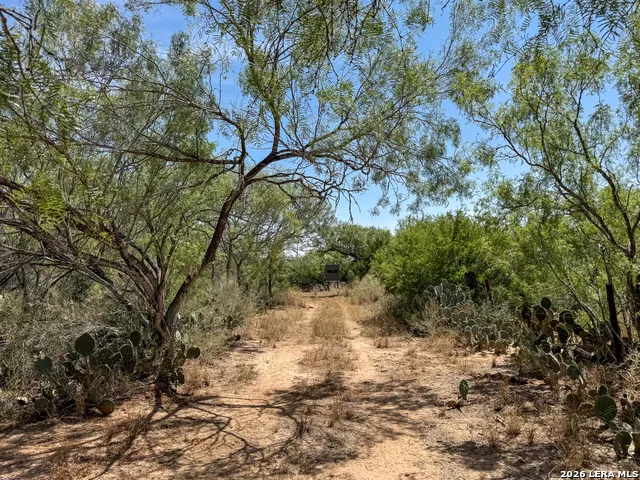 2822 TOMBLIN RD Bigfoot, TX 78005