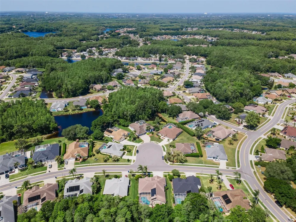 1234 ARLINBROOK DRIVE Trinity, FL 34655