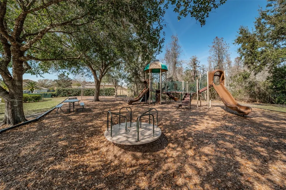 1234 ARLINBROOK DRIVE Trinity, FL 34655