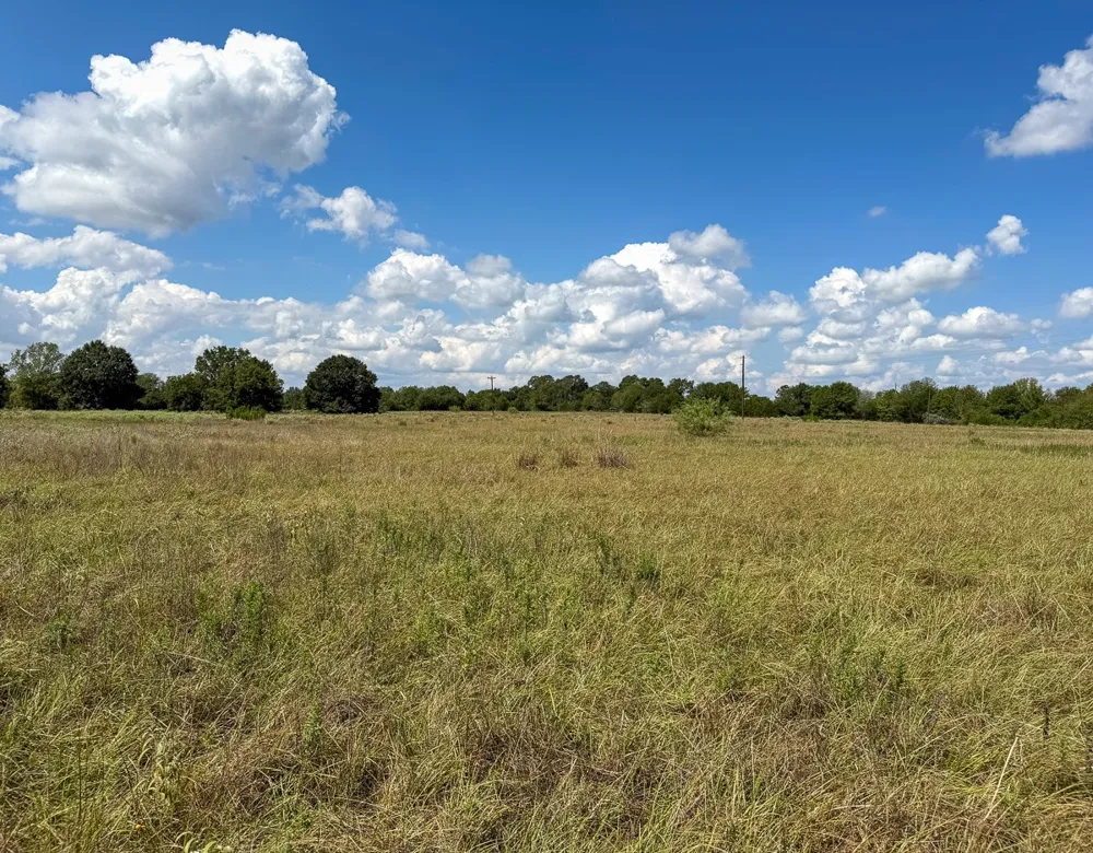 CR 3620 Lovelady, TX 75851
