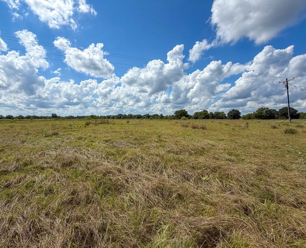 CR 3620 Lovelady, TX 75851