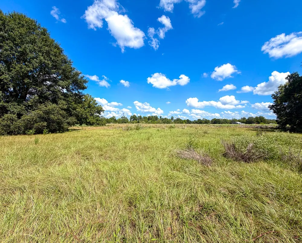 CR 3620 Lovelady, TX 75851