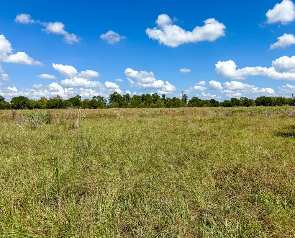 CR 3620 Lovelady, TX 75851