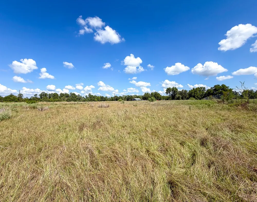 CR 3620 Lovelady, TX 75851