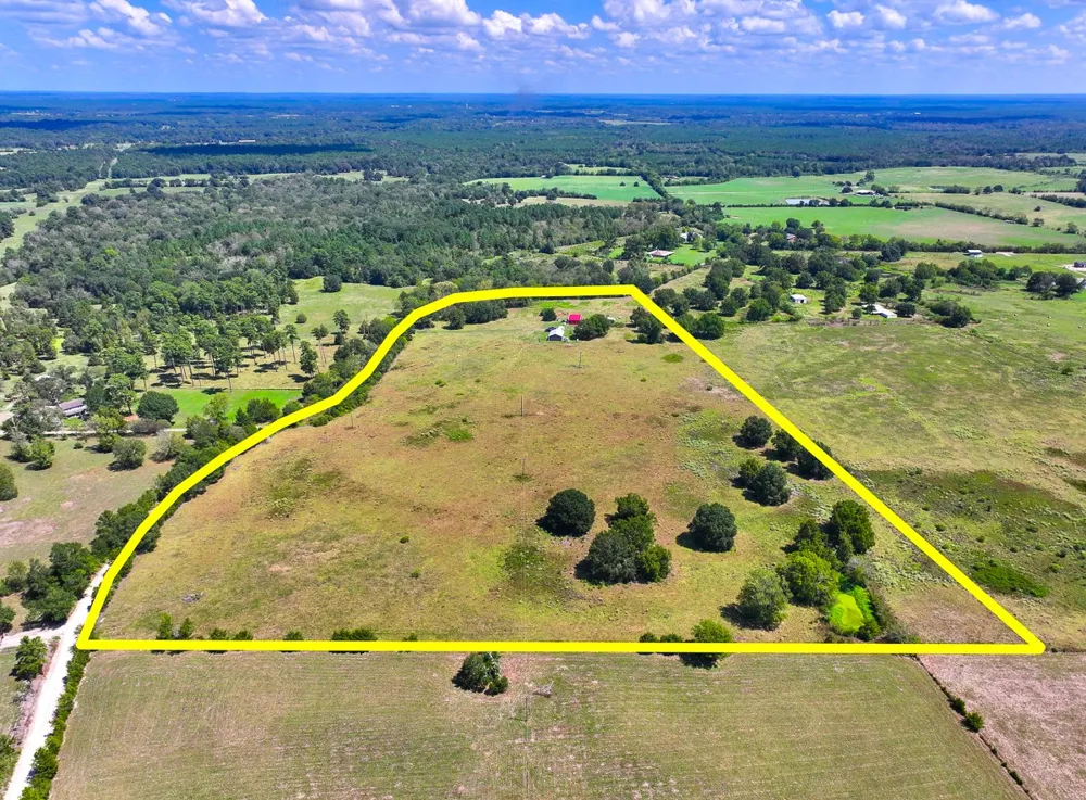 CR 3620 Lovelady, TX 75851