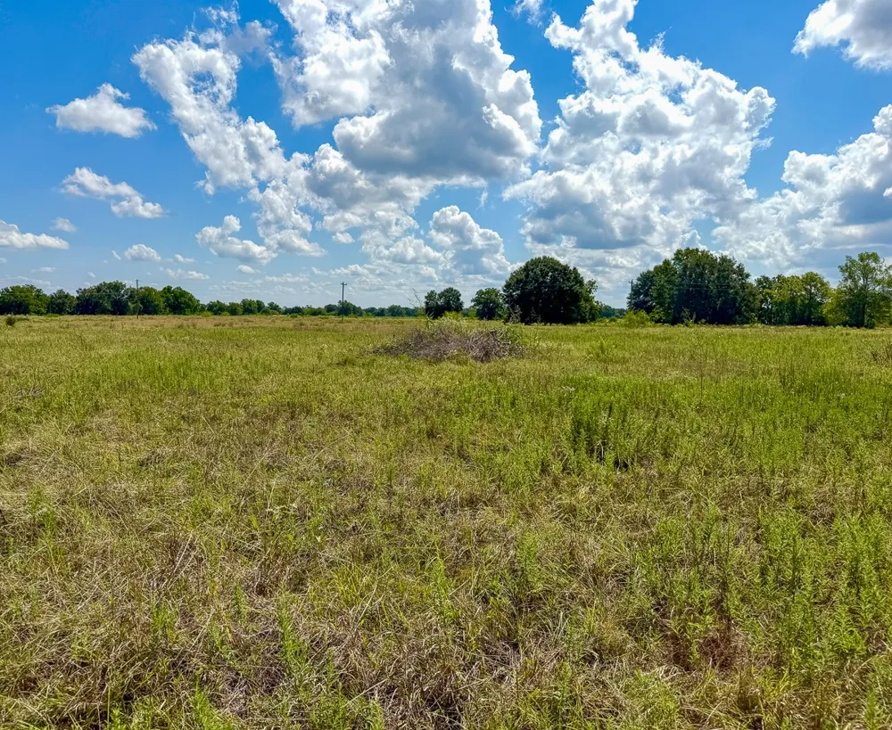 CR 3620 Lovelady, TX 75851