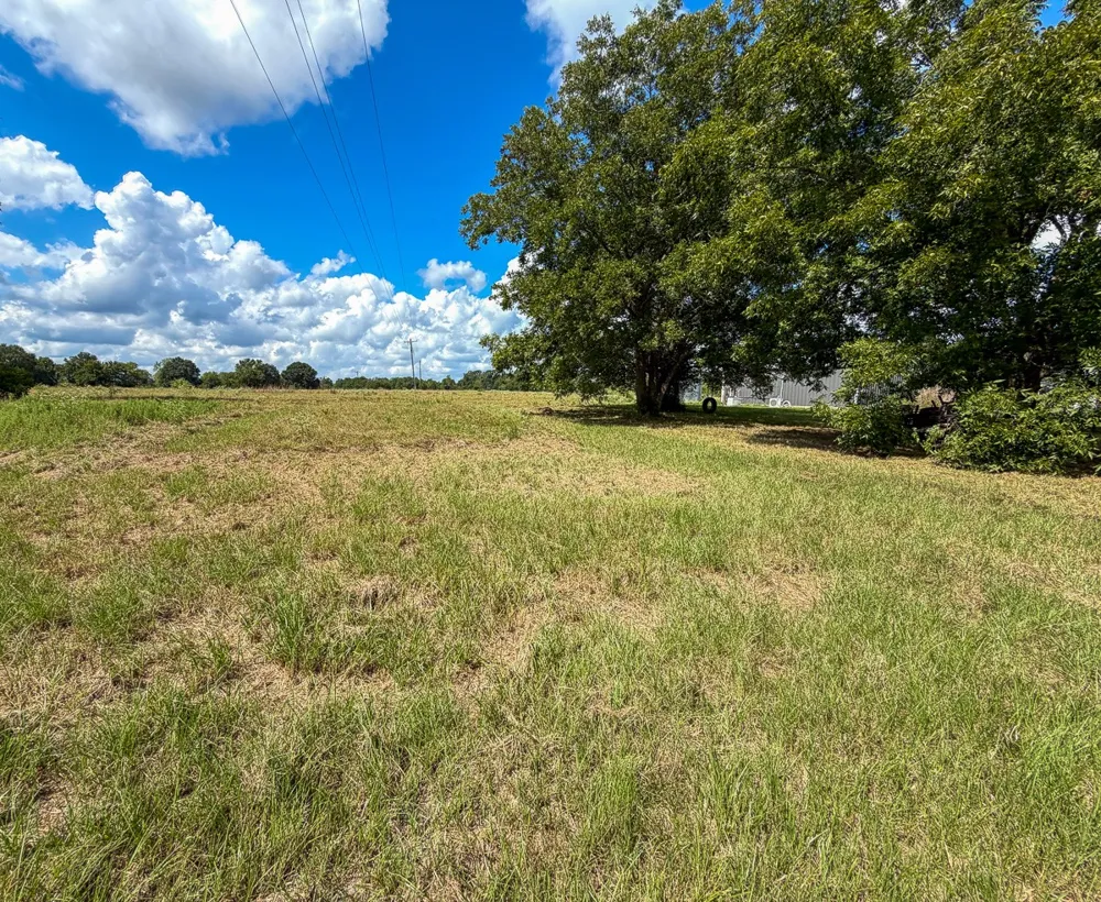 CR 3620 Lovelady, TX 75851
