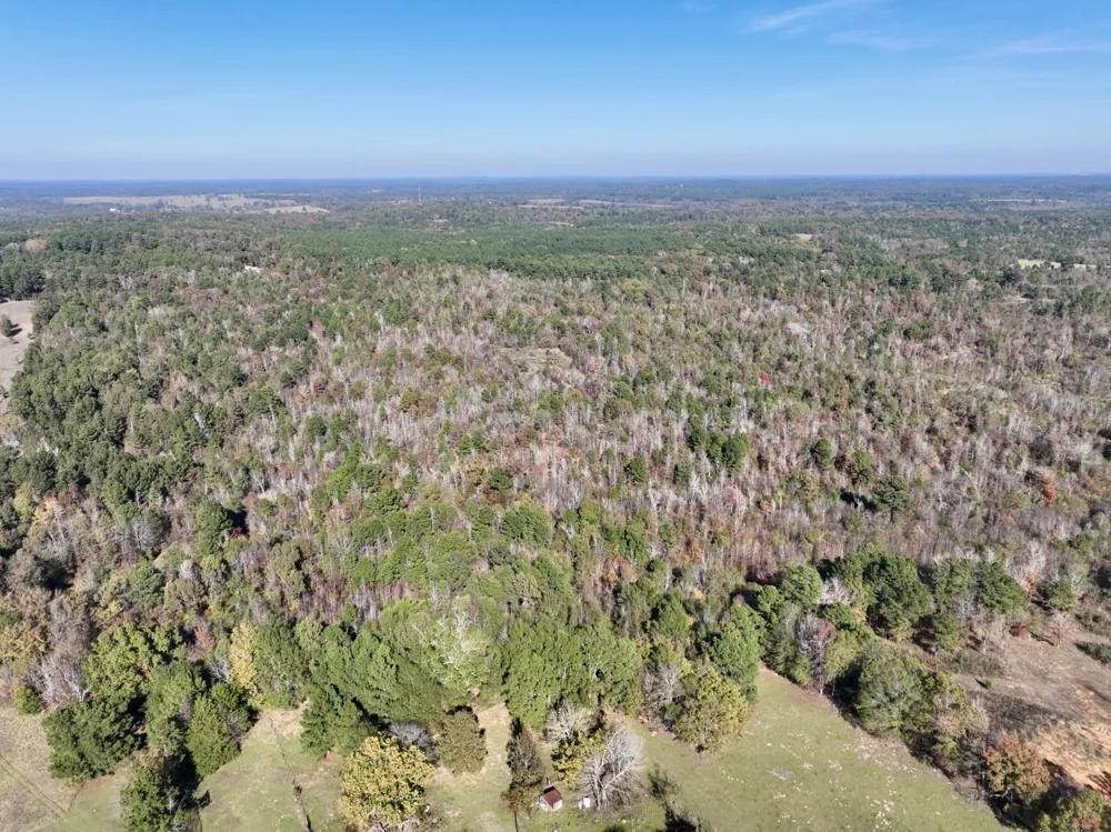 21695 County Road 240 Tyler, TX 75705