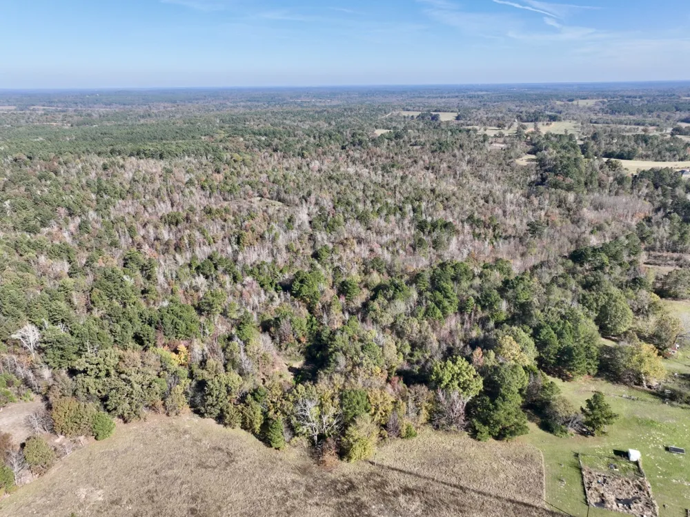 21695 County Road 240 Tyler, TX 75705