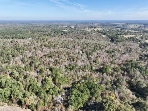 21695 County Road 240