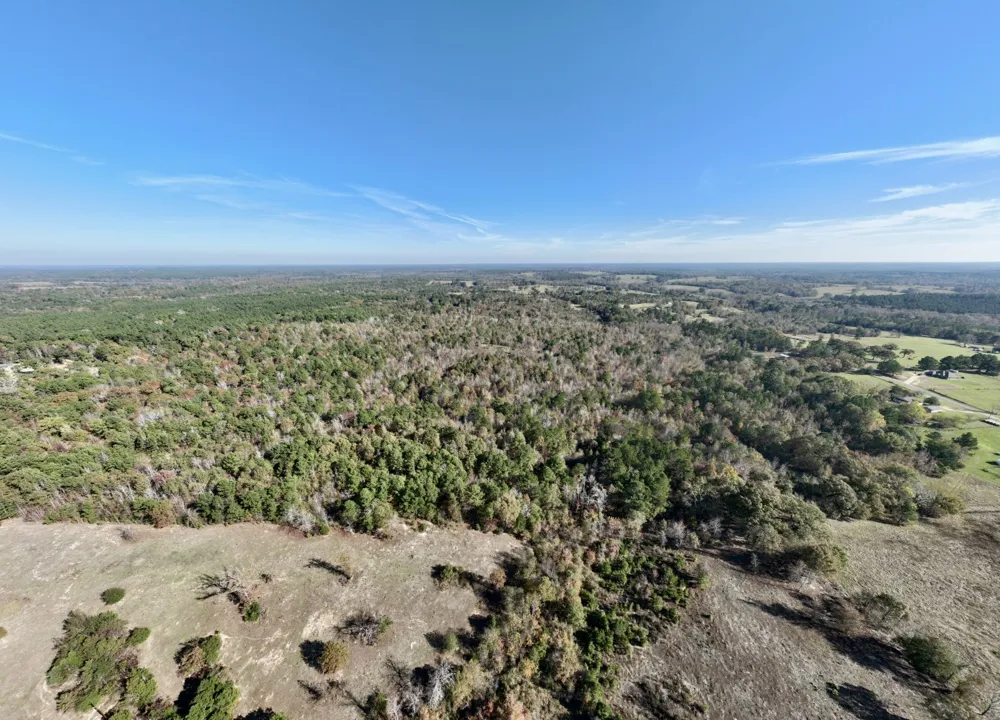 21695 County Road 240 Tyler, TX 75705