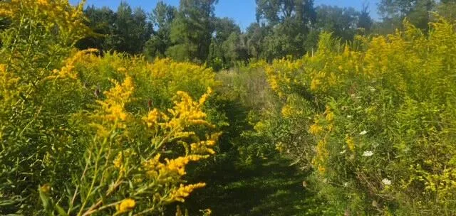 37016 64th Avenue Paw Paw, MI 49079