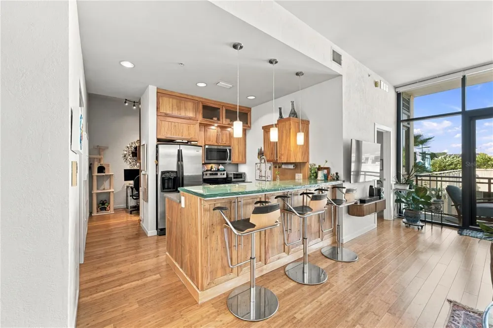 400 4TH AVENUE S #508 St Petersburg, FL 33701