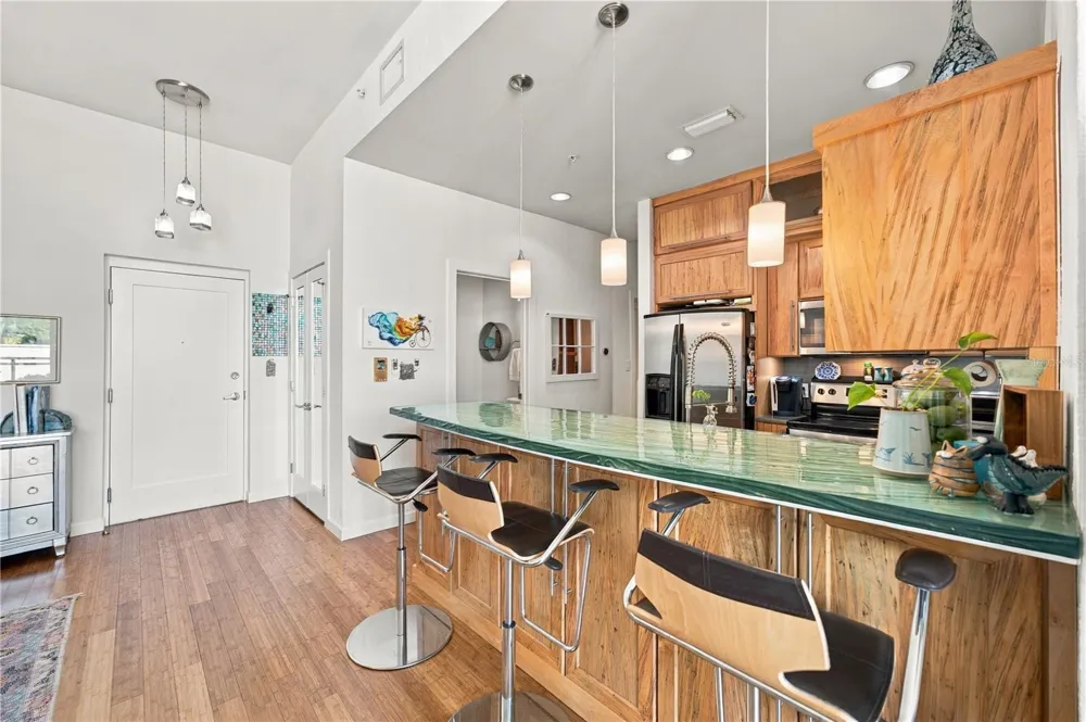 400 4TH AVENUE S #508 St Petersburg, FL 33701