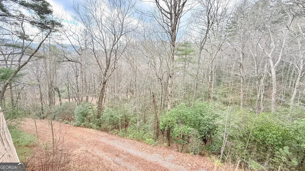 8072 Doublehead Gap RD Blue Ridge, GA 30513