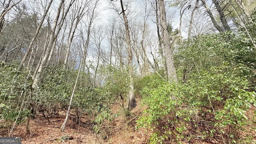 8072 Doublehead Gap RD Blue Ridge, GA 30513