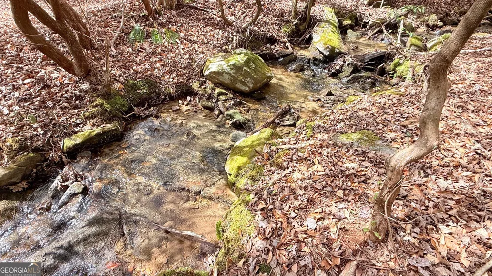 8072 Doublehead Gap RD Blue Ridge, GA 30513