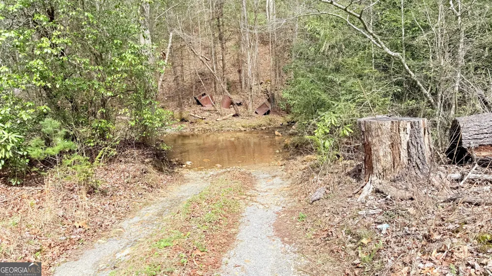 8072 Doublehead Gap RD Blue Ridge, GA 30513