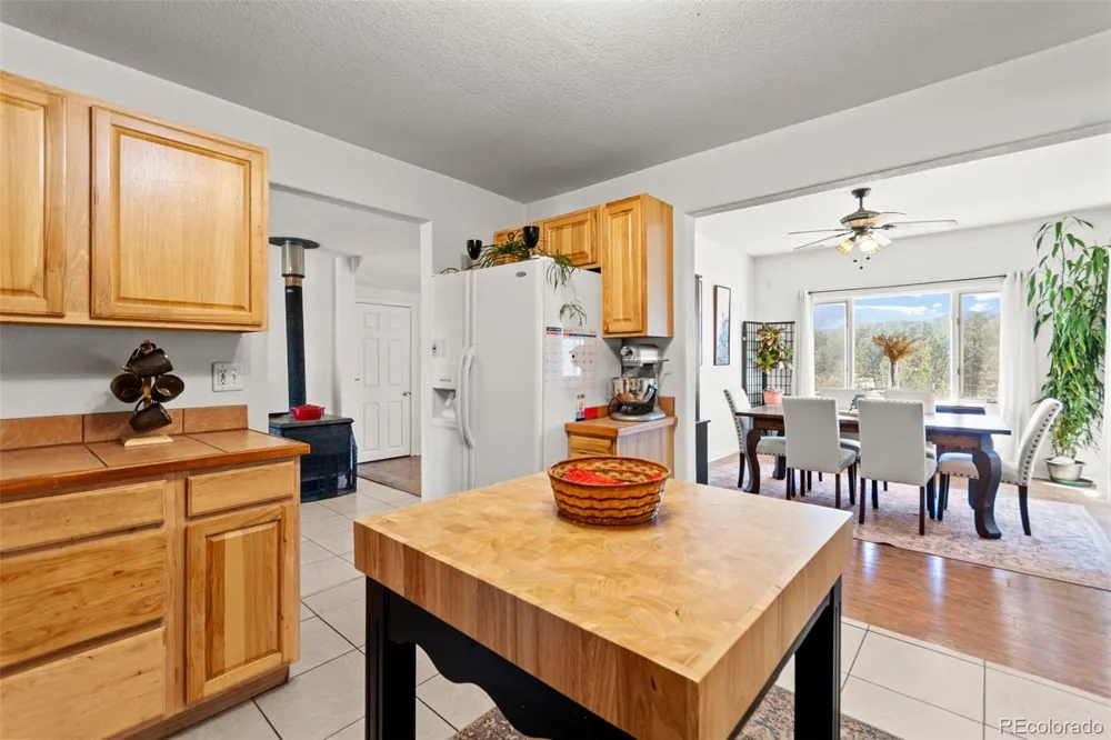 211 Appleby Street Bailey, CO 80421