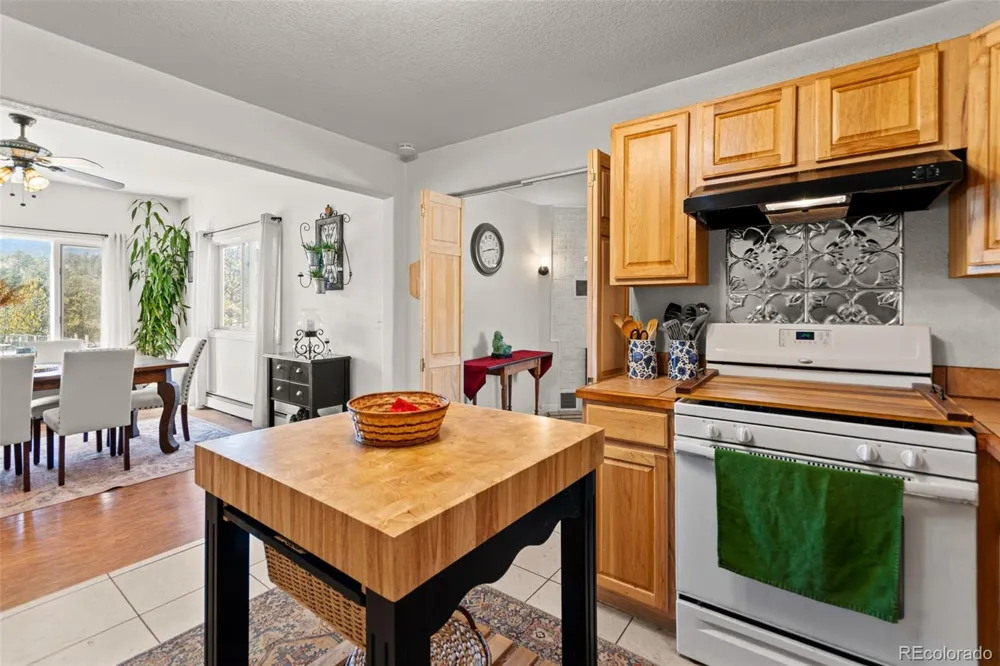 211 Appleby Street Bailey, CO 80421