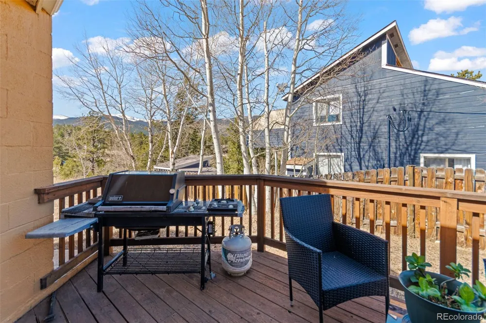 211 Appleby Street Bailey, CO 80421