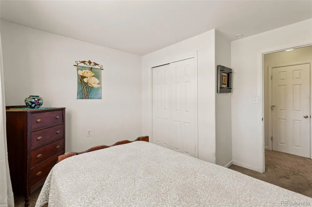 211 Appleby Street Bailey, CO 80421