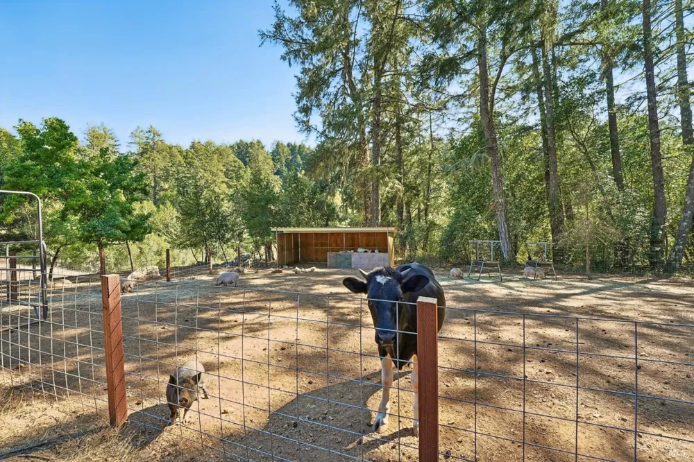 16560 Coleman Valley Road Occidental, CA 95465