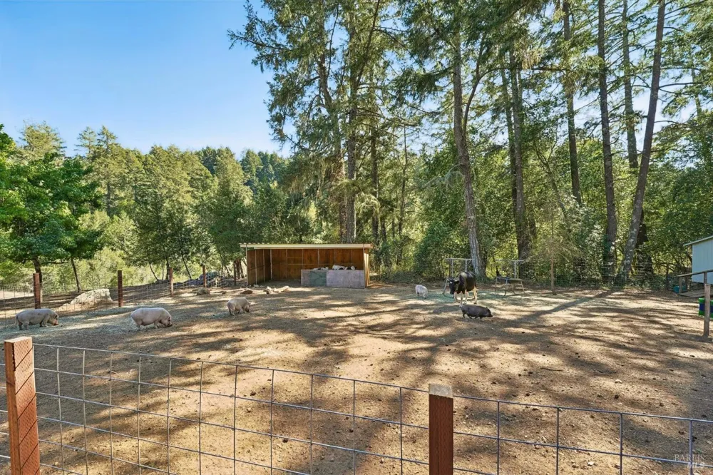 16560 Coleman Valley Road Occidental, CA 95465