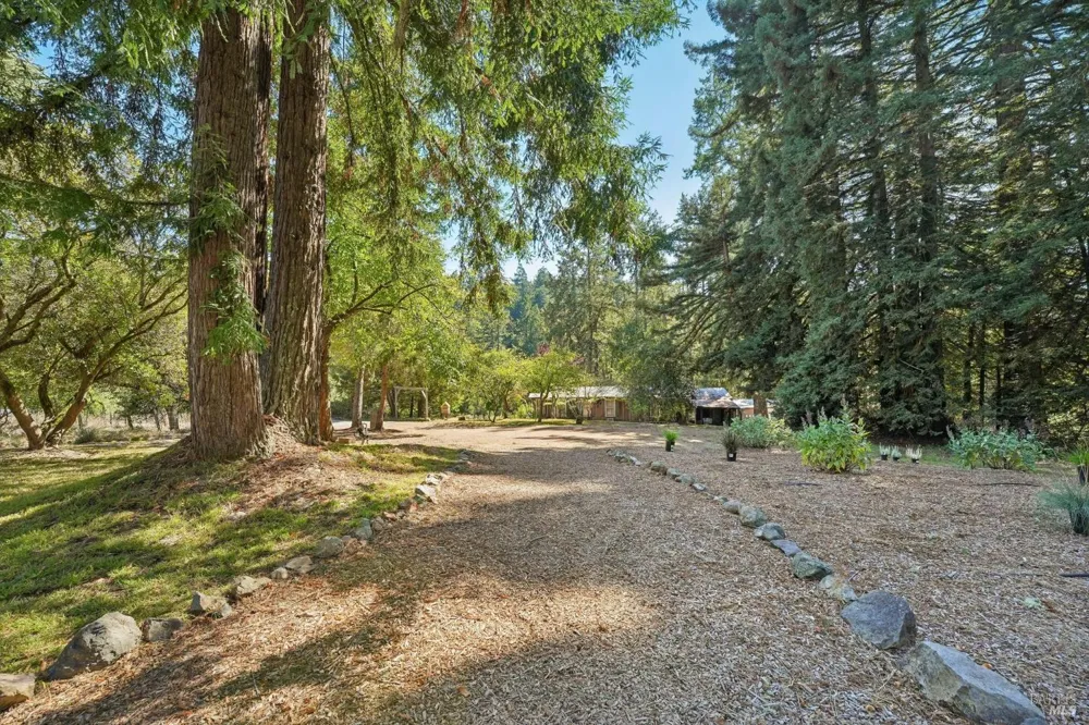 16560 Coleman Valley Road Occidental, CA 95465