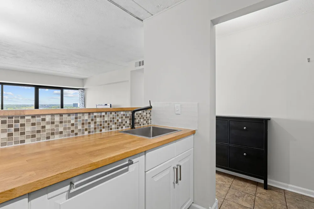 1920 S 1st Street #1508 Minneapolis, MN 55454