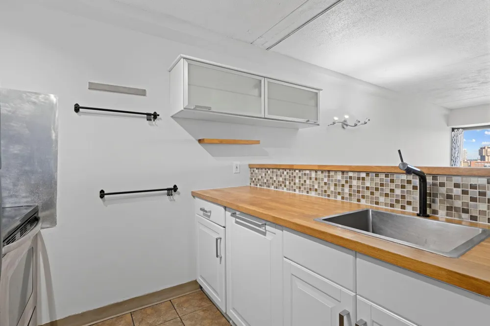 1920 S 1st Street #1508 Minneapolis, MN 55454