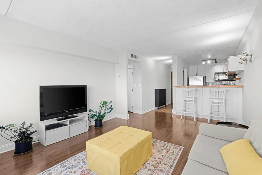 1920 S 1st Street #1508 Minneapolis, MN 55454
