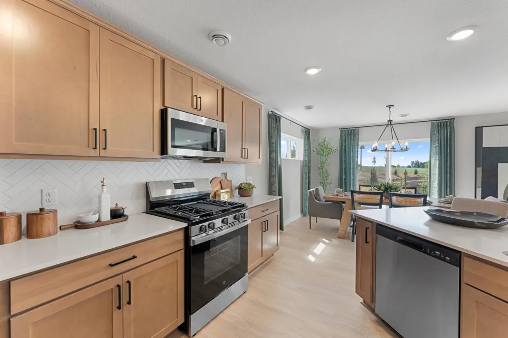 1036 Adamstown Drive Rosemount, MN 55068