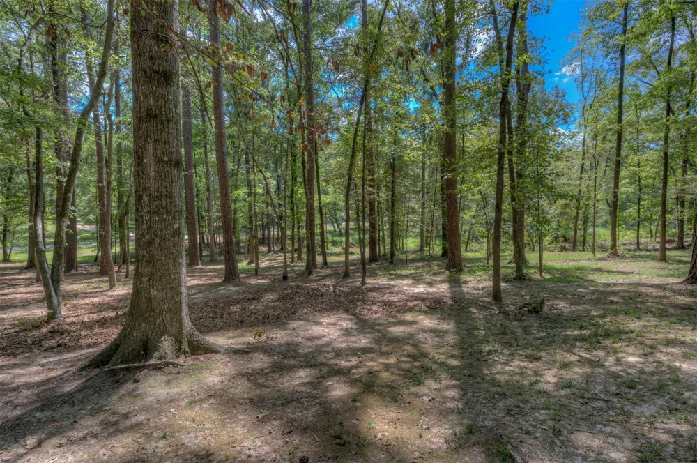 891 Linton Bellevue Road Benton, LA 71006