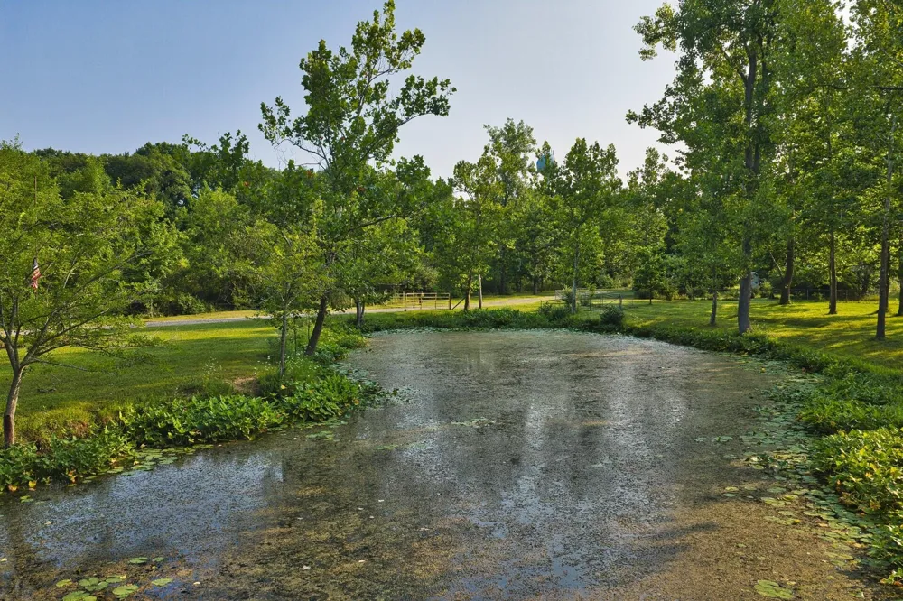 299 Rodeo Drive Union Township, MI 49094