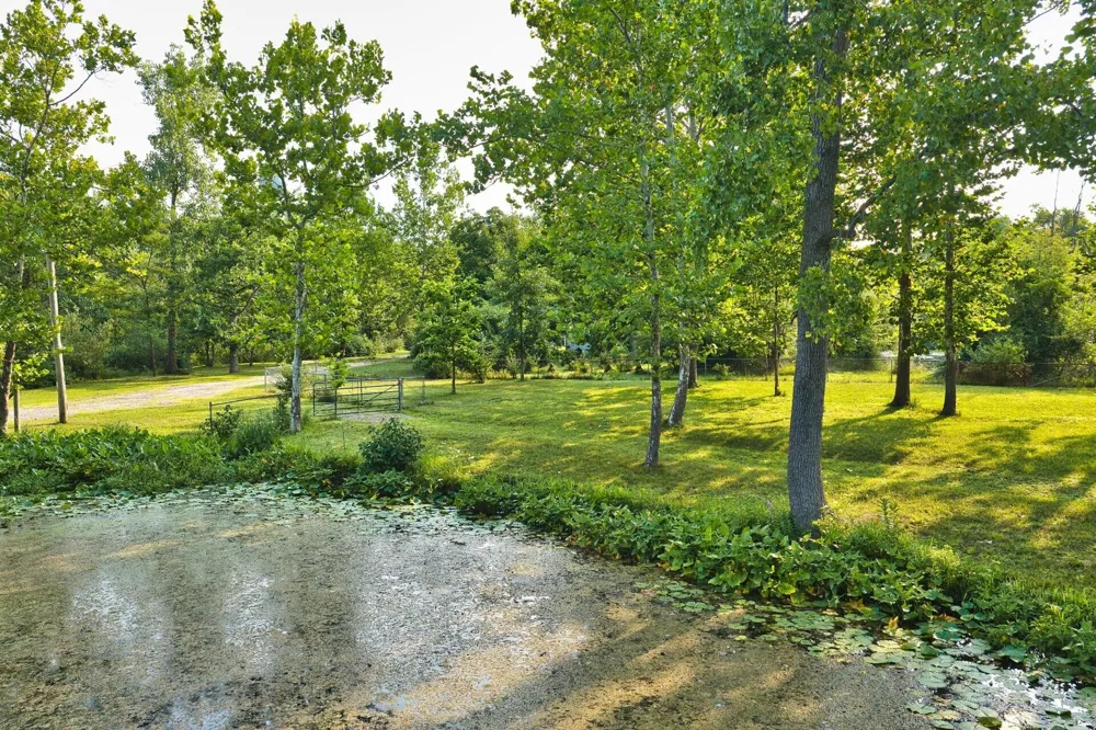 299 Rodeo Drive Union Township, MI 49094