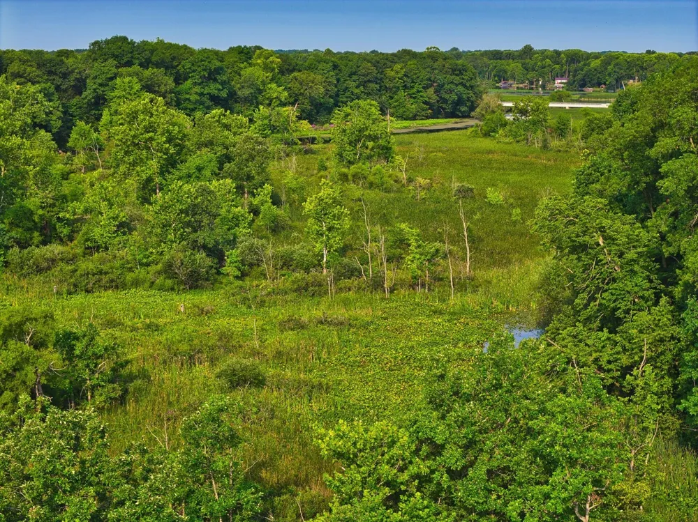 299 Rodeo Drive Union Township, MI 49094