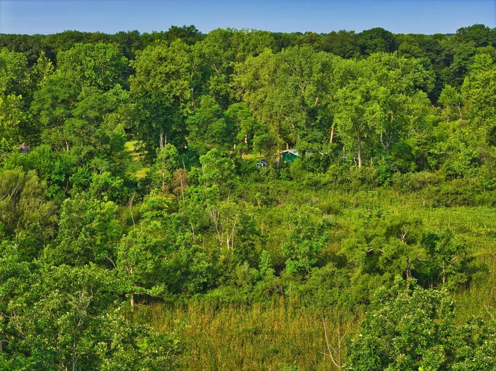 299 Rodeo Drive Union Township, MI 49094