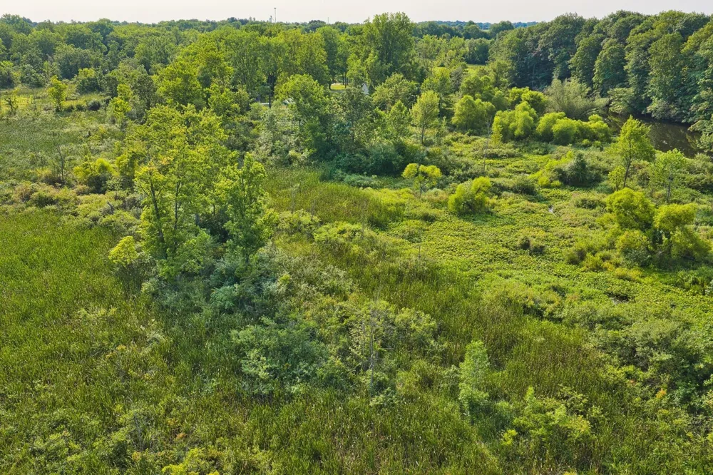299 Rodeo Drive Union Township, MI 49094