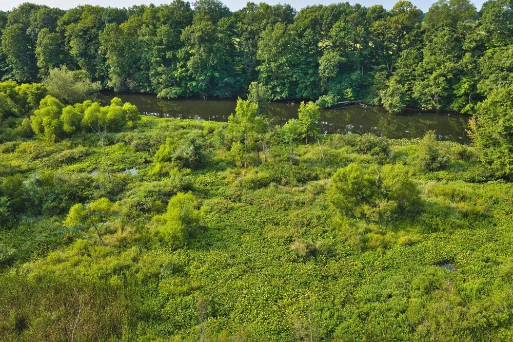 299 Rodeo Drive Union Township, MI 49094