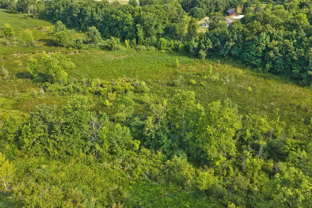 299 Rodeo Drive Union Township, MI 49094